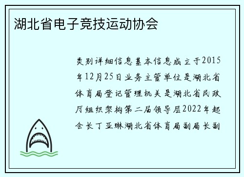 湖北省电子竞技运动协会